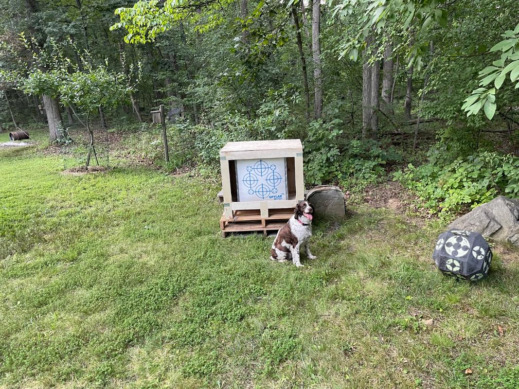 SpyderWeb 24XL Archery or Crossbow Target-No Speed Limit