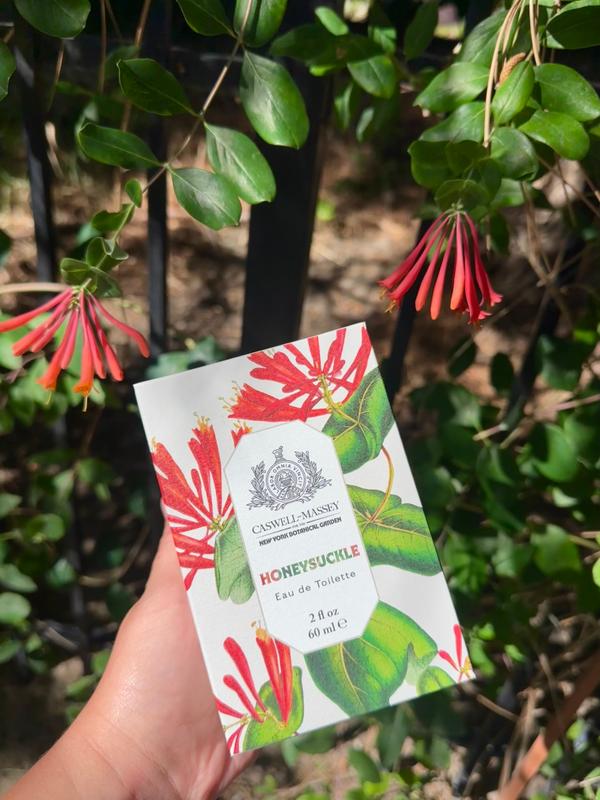 Honeysuckle Eau de Toilette | Fine Fragrance | Caswell-Massey®