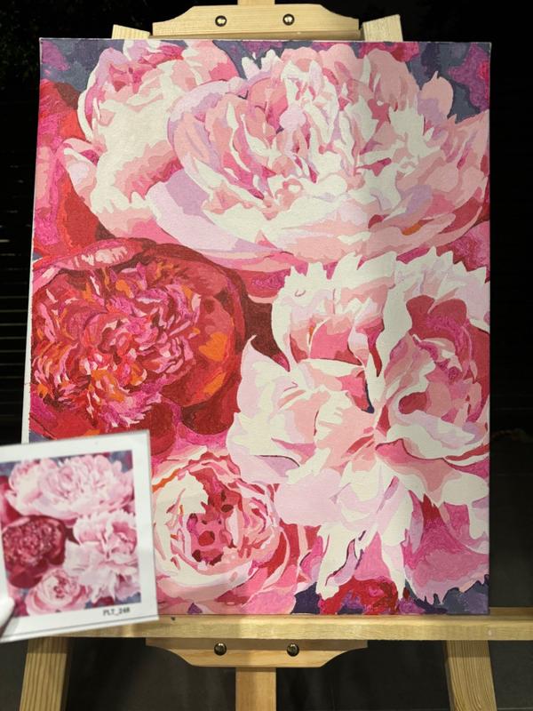 DIMENSIONS Peony newest Floral 91382 Paint by Number Kit 16x20in