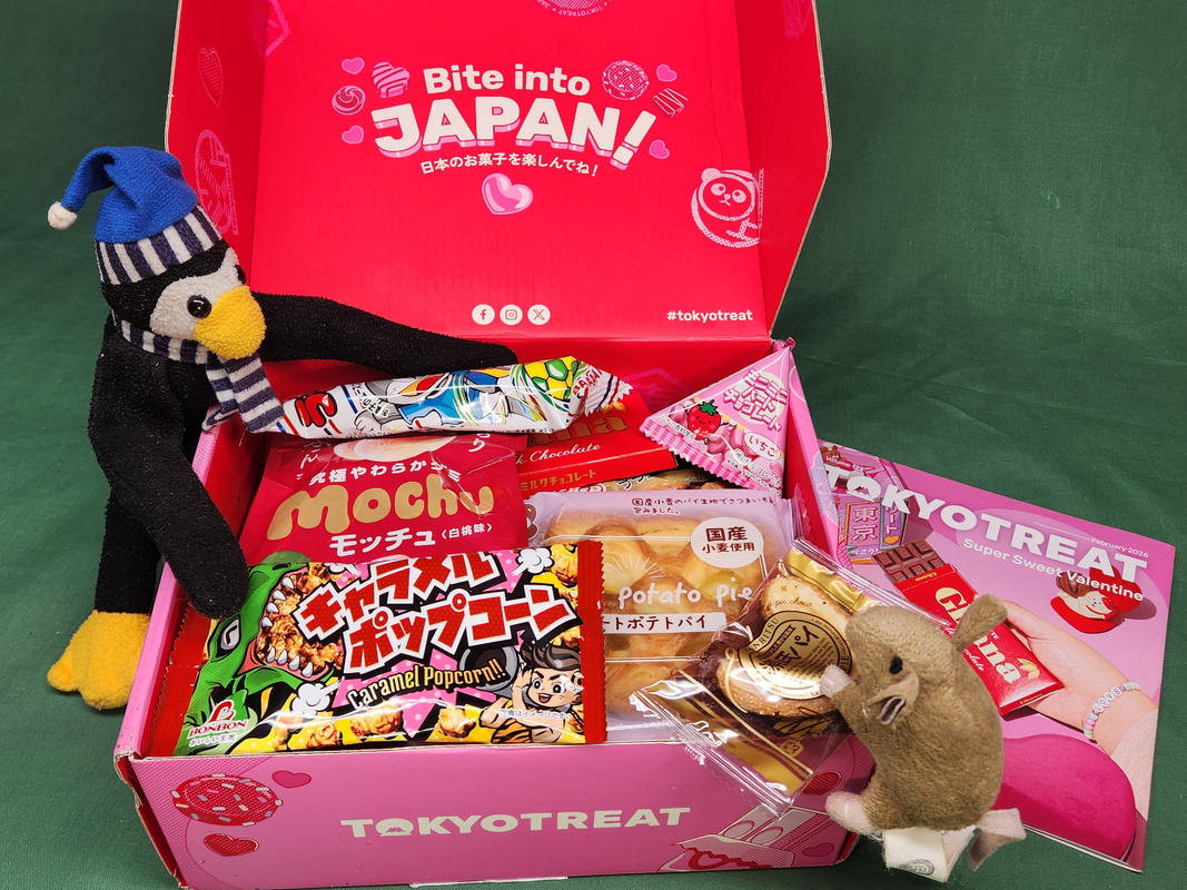 Ninja Snackventure | TokyoTreat