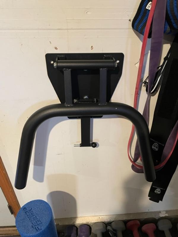 Diy wall discount mounted dip bars