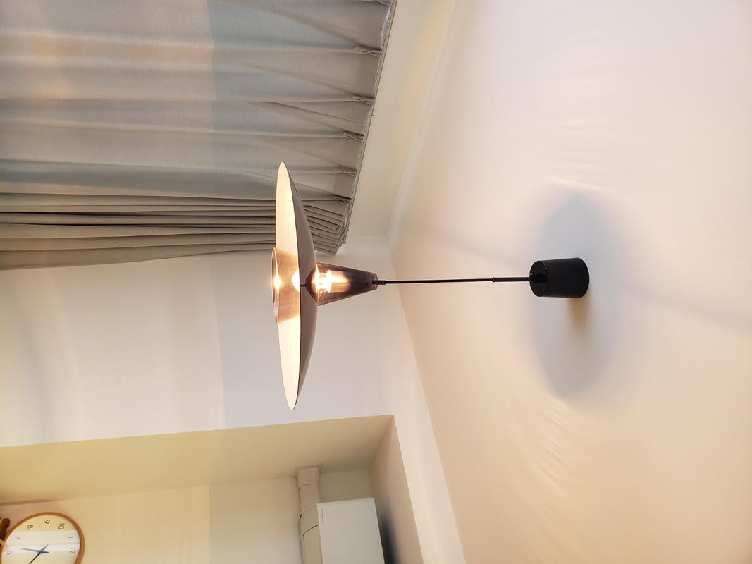 Petal - Black Alumi Shade Pendant Light – KANADEMONO