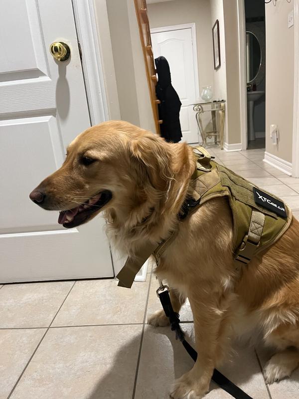 Tactical sales gear k9