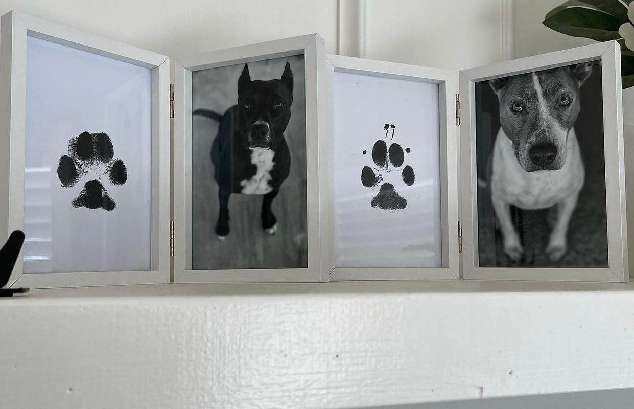 4 Pack of Paw Print Stamp Pads