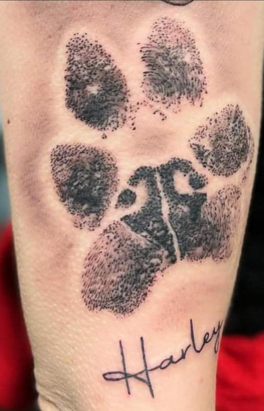 6 Pack of Plus Size Paw Print Stamp Pads – Fur Gift