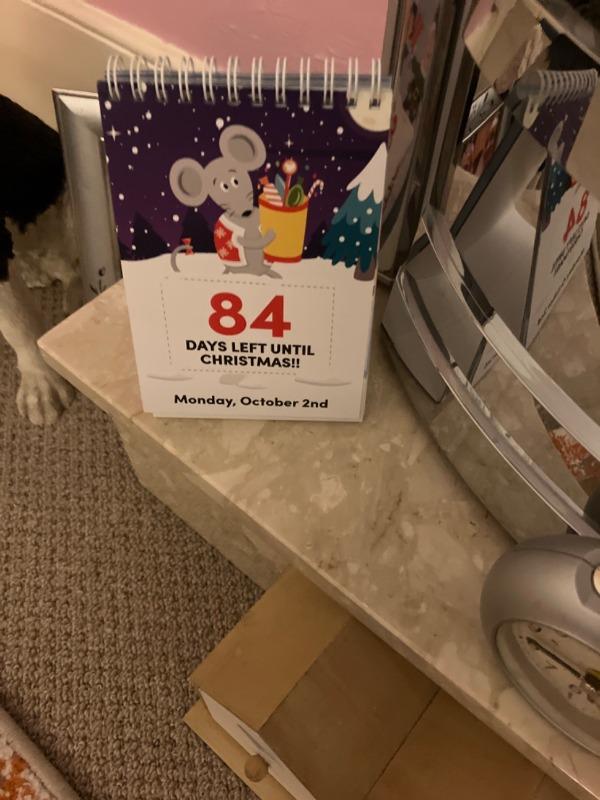 100-day-christmas-countdown-official-calendar-2024-christmas-count-usa