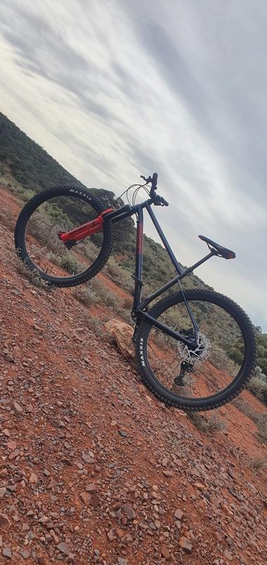 Steel discount hardtail review