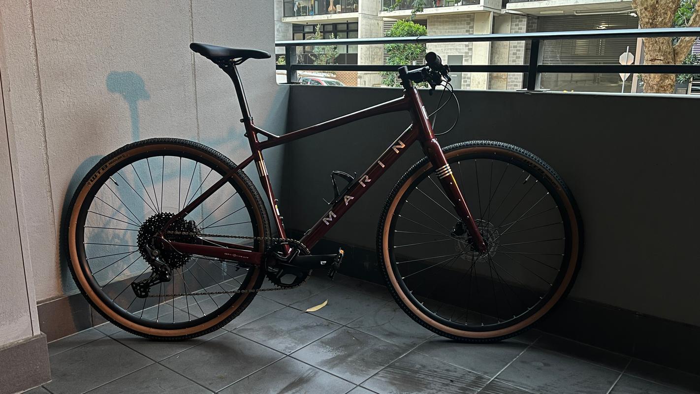 2021 marin dsx 2 hot sale