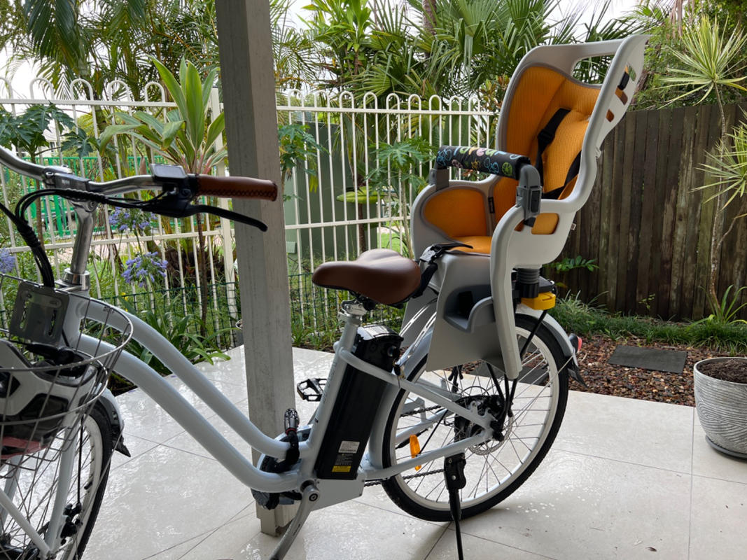 Topeak babyseat ii with disc deals rack