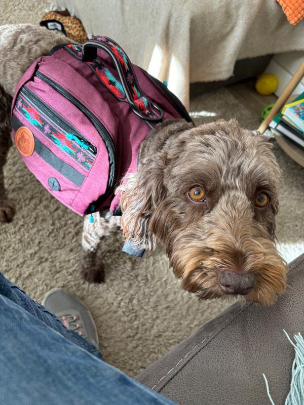 Dog Backpack Wilderdog