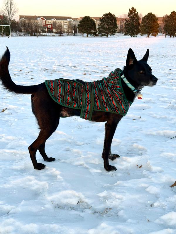 Olive Fleece Jacket – Wilderdog