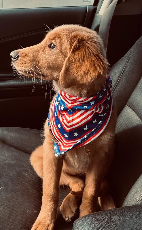 Evergreen Topo Bandana – Wilderdog