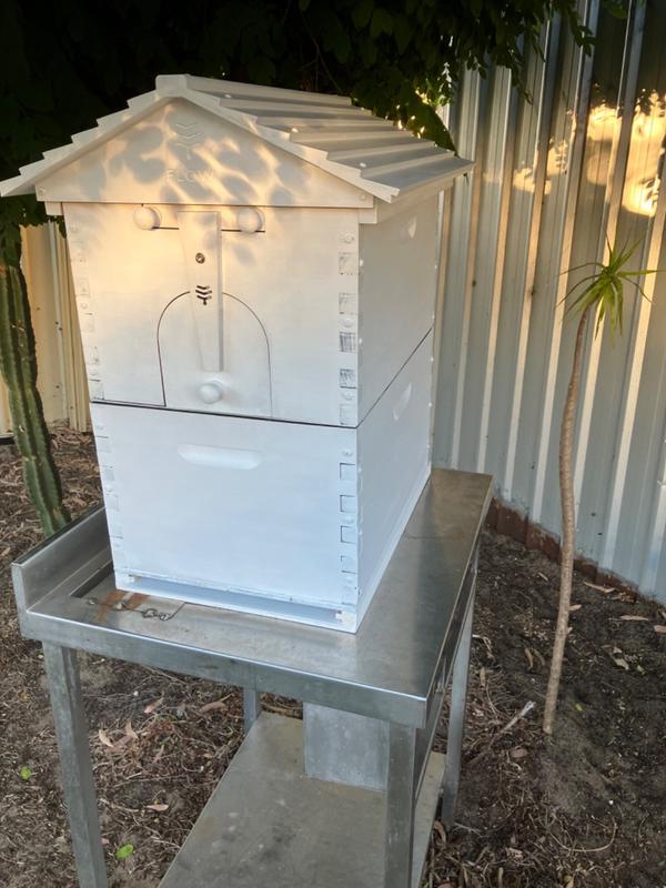 Flow Hive Hybrid