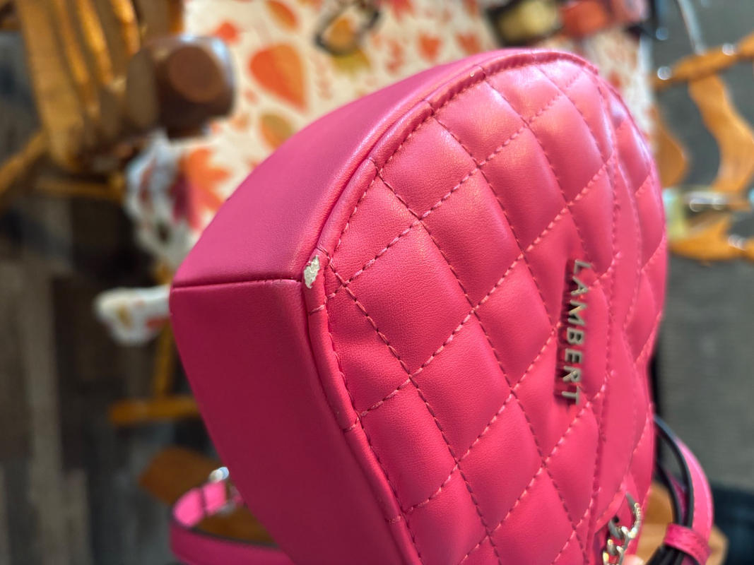 The Cailli - 2-in-1 Wildrose Vegan Leather Heart Handbag – Lambert