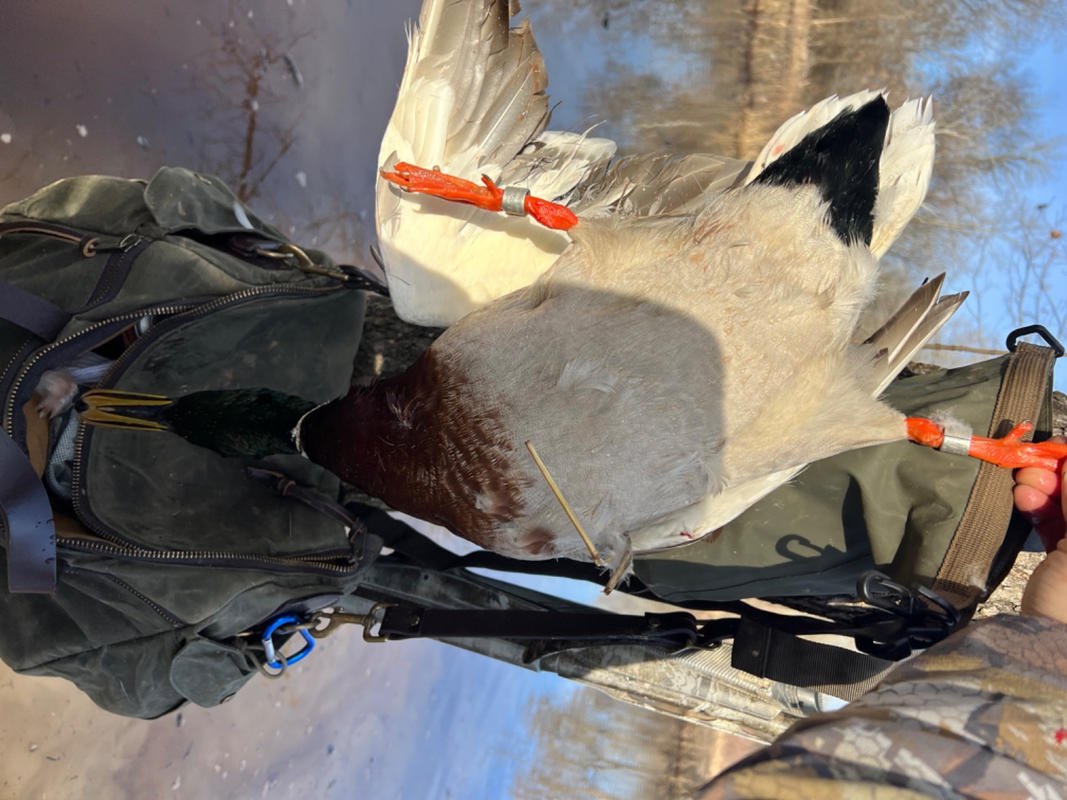 Waxed Canvas Timber Duck Hunting Bag | Chêne Gear®