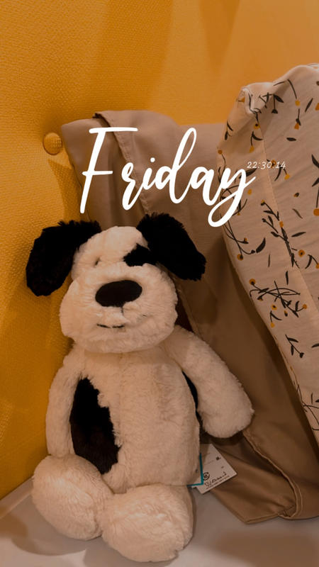 Jellycat Bashful Black & Cream Puppy Plushie | Free Delivery