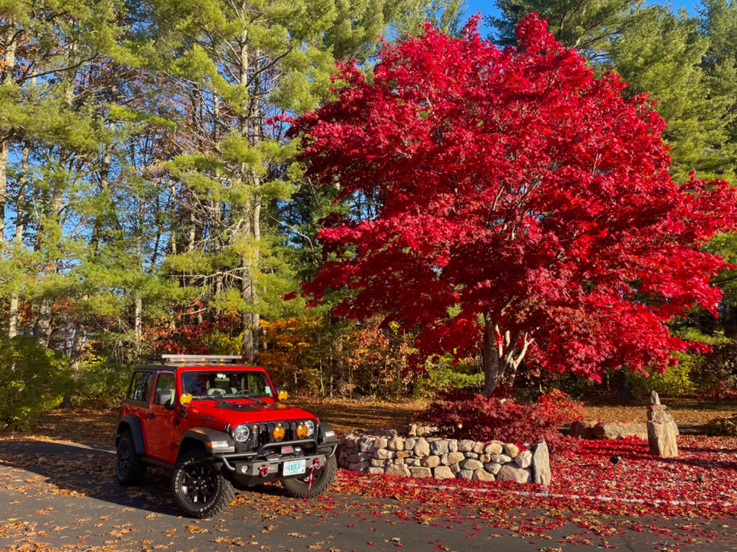 Jeep Wrangler JL 4 Door (2018-Current) Extreme Slimline II Roof Rack Kit