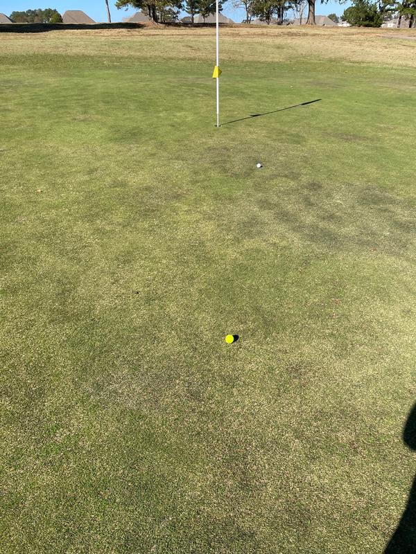 699 v1 Satin Irons | Our Most Forgiving Irons | Sub 70 Golf