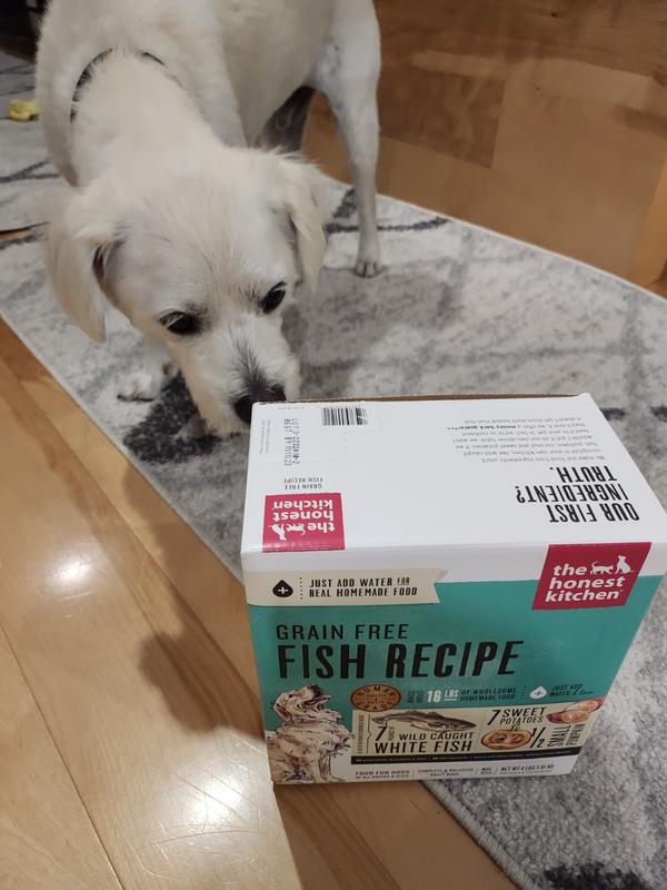 Honest kitchen grain free hot sale fish