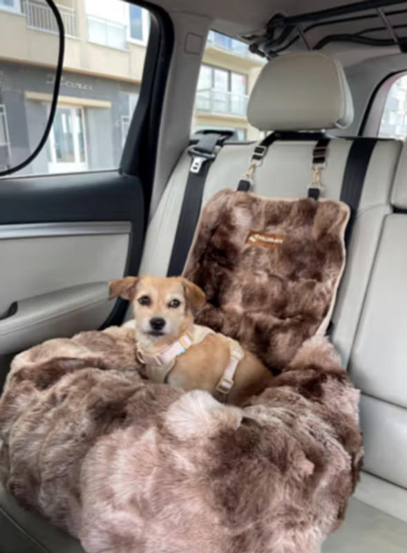 Luxurises Hundebett frs Auto (1+1 GRATIS)  pelsbarn.de