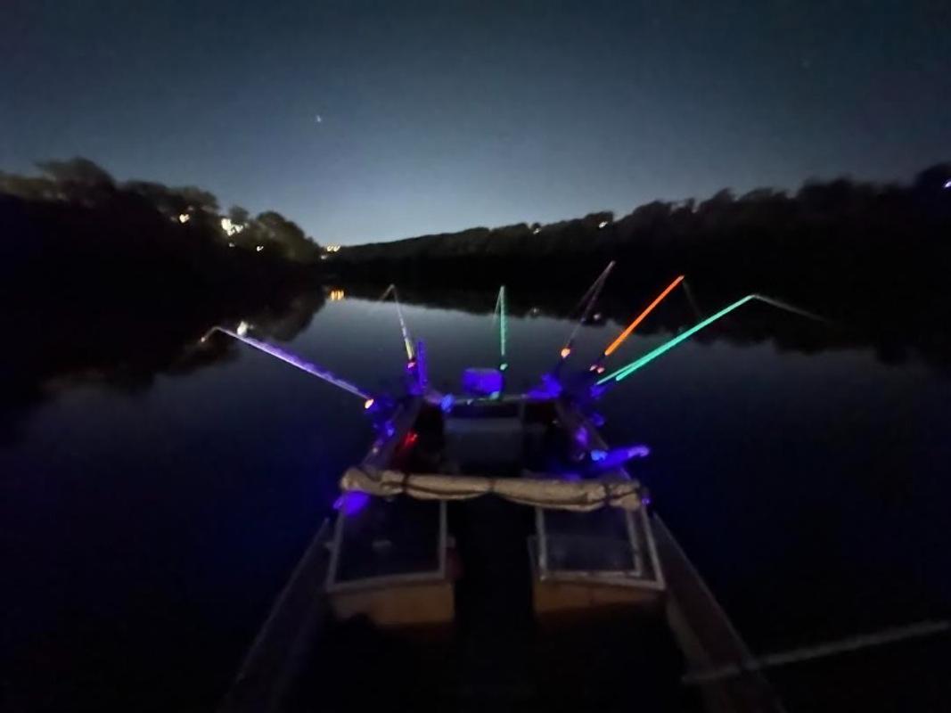 16ft UV Boat Light Black LED Fluorescent line Glow Ultraviolet 12v Night  Fishing bass