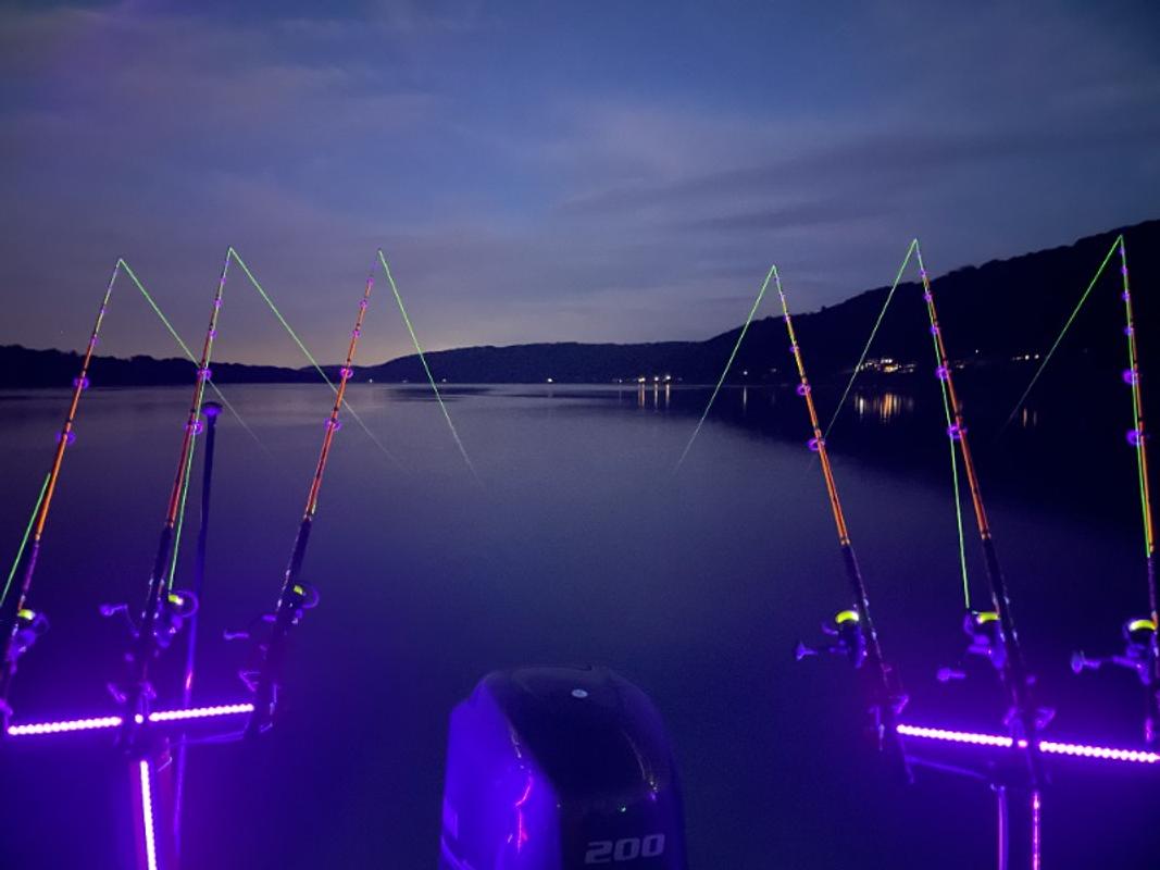 Fishing Blacklight for sale