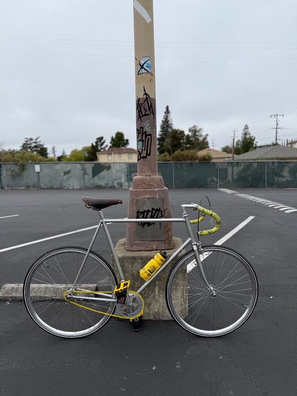 スコッティ IMG_5208_1200x1200.jpg?v=