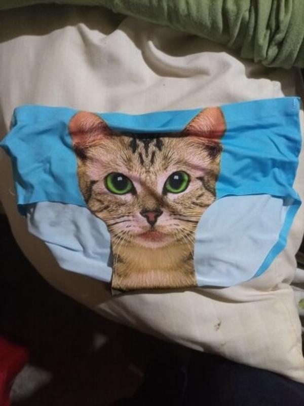 Pussycat Kitty Seamless Panties - GEEKYGET