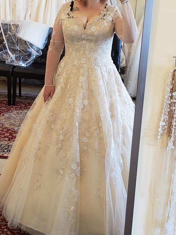 Princess Court Train Tulle Gothic Wedding Dress LD4622