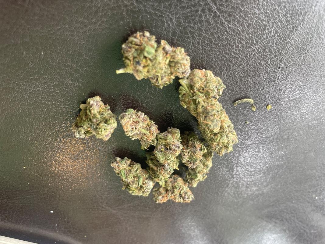 Rainbow Sherbet Strain – Type 3 CBD Flower | Holy City Farms