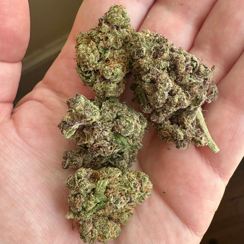 Rainbow Sherbet Strain – Type 3 CBD Flower | Holy City Farms