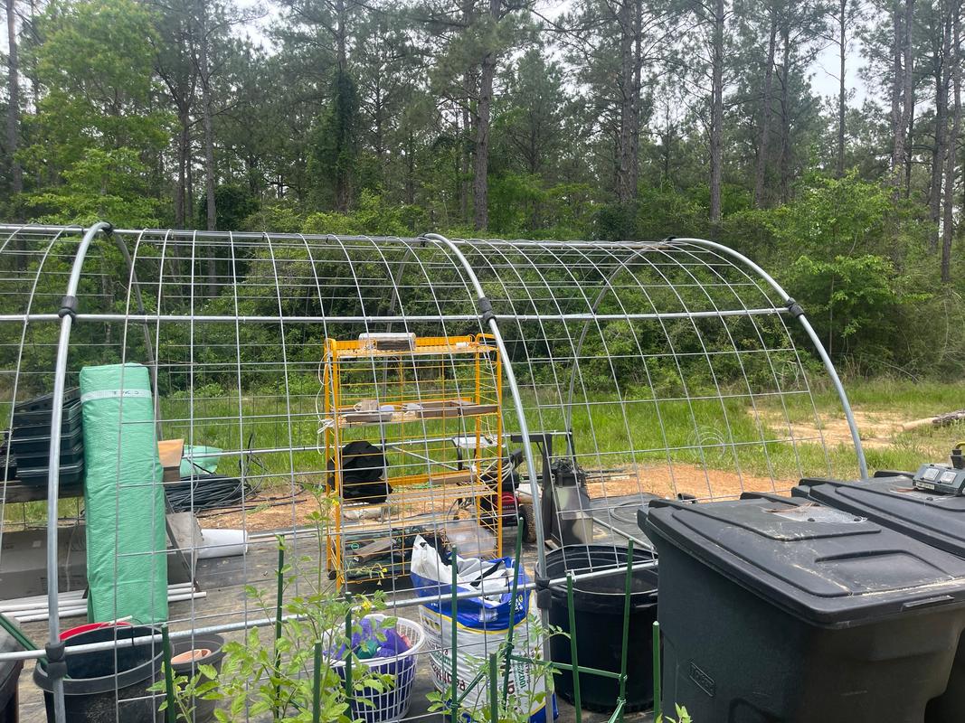 Quictent 20x10 Large Garden Greenhouse, Screen Door, Easy Setup Quictent 20x10 Large Garden Greenhouse, Screen Door, Easy Setup