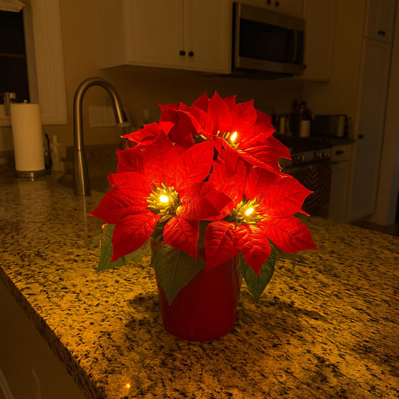 Radiant Ruby Poinsettia