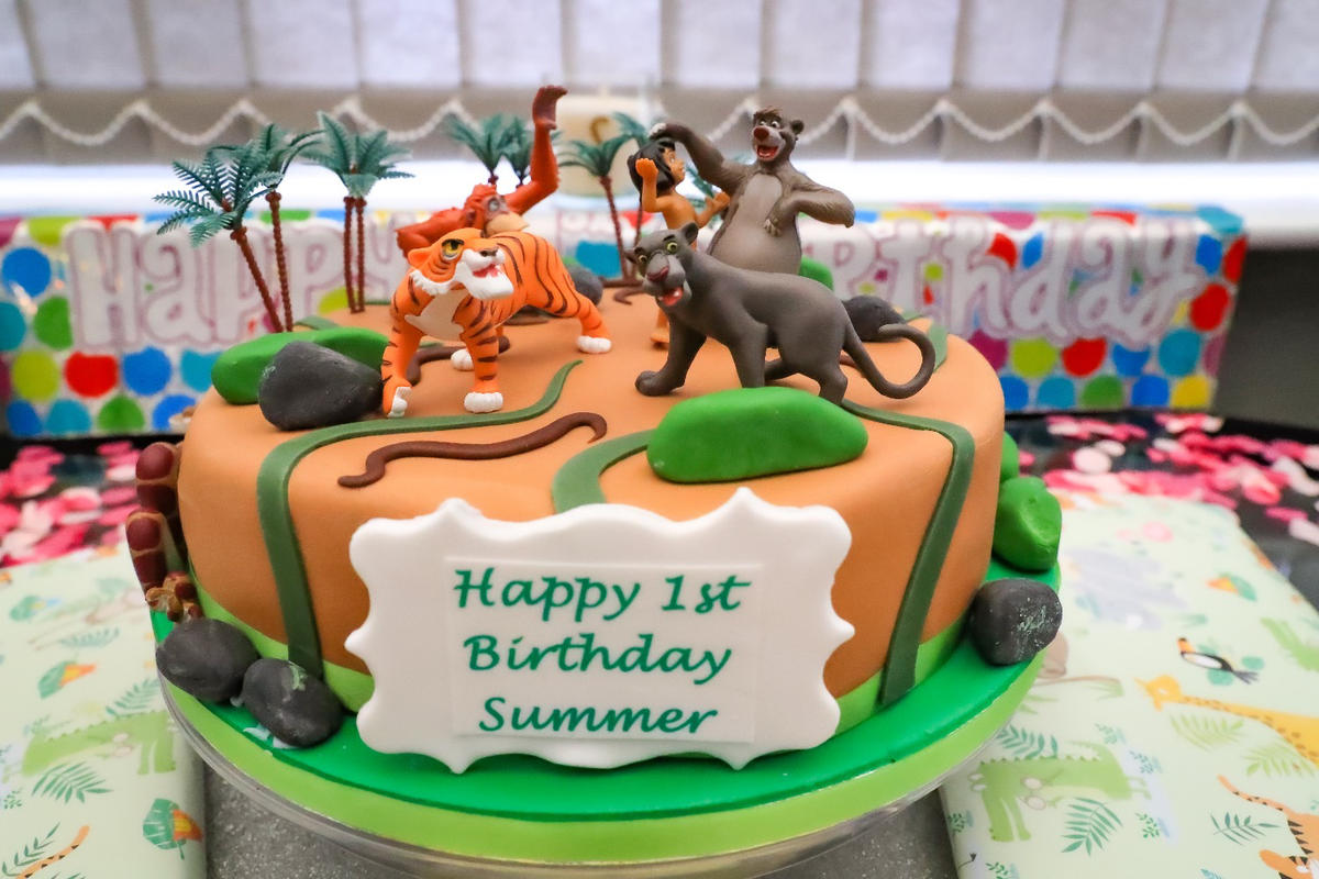 The Jungle Book Mowgli Theme Birthday Backdrop – Ezyprints Studio