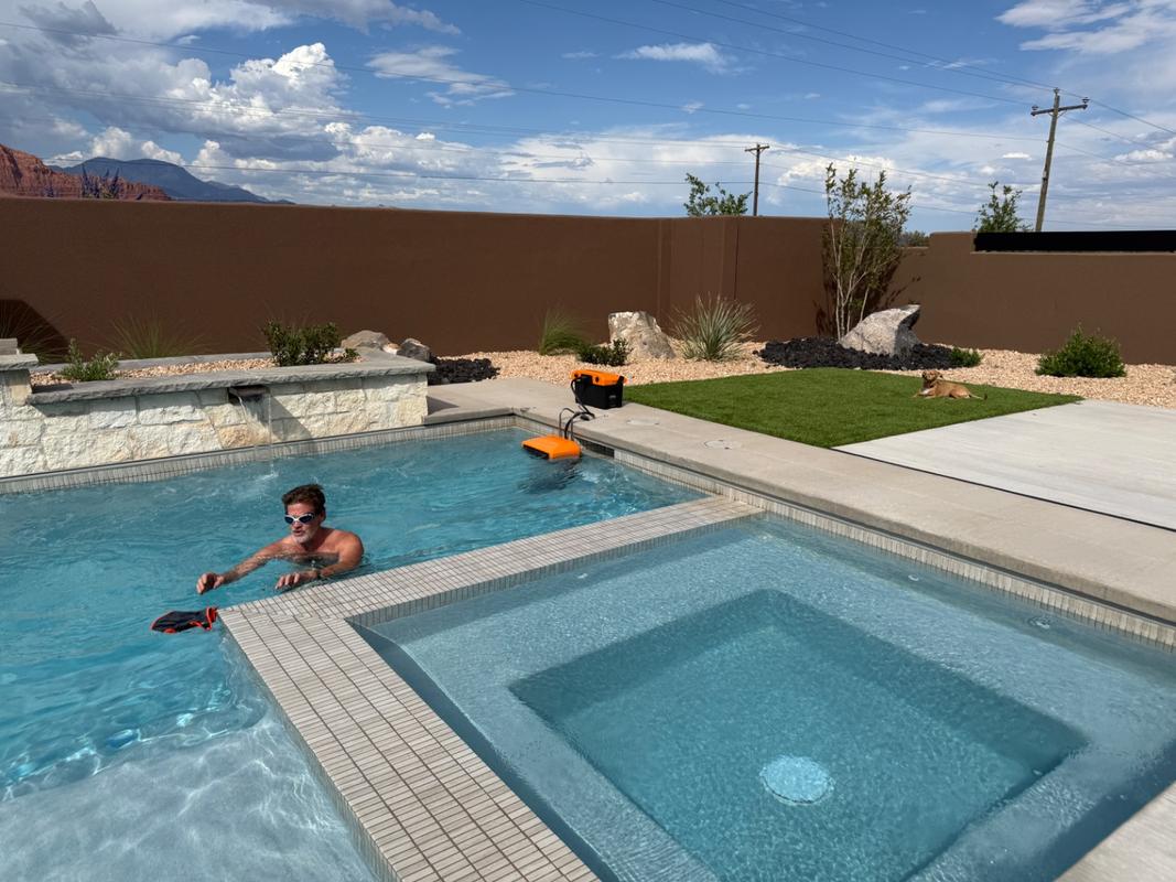 P411 THRIVE SWING SWIM スライヴ スイングスイム  MD スライヴ スイングスイム MD-08 金魚運動器｜Yahoo!フリマ（旧