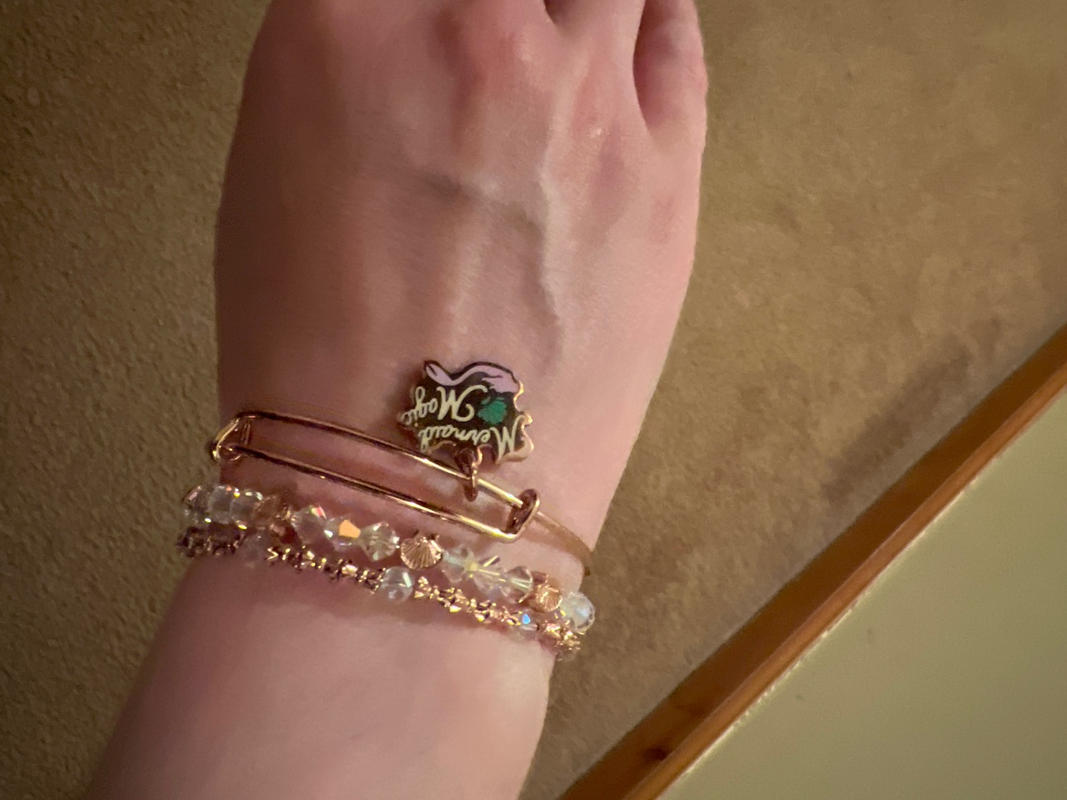 アレックスアンドアニ Say Yes to New Adventures Bangle Set of 5 – ALEX AND ANI