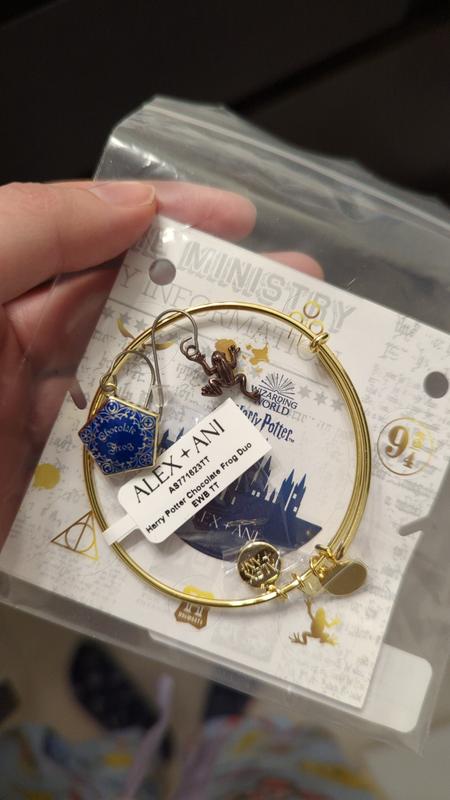 Alex and ani fashion luna love bangle