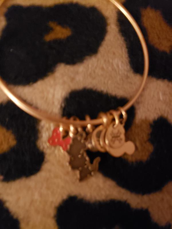 Moana newest Alex and Ani Bracelet