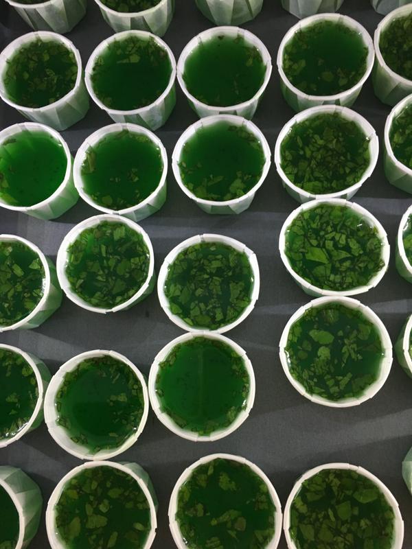 Paper Jello Shot Cups Box of 250