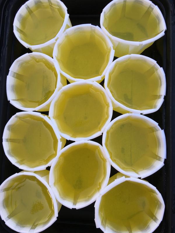 Paper Jello Shot Cups Box of 250