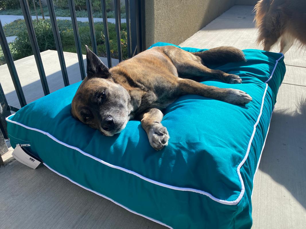 Animal top floor pillow