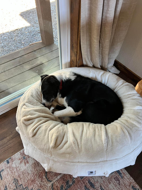 Treat a best sale dog bed reviews