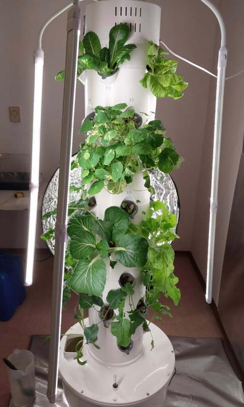Aeroponic Tower Garden | Tower for 40 Plants | ALTO Garden