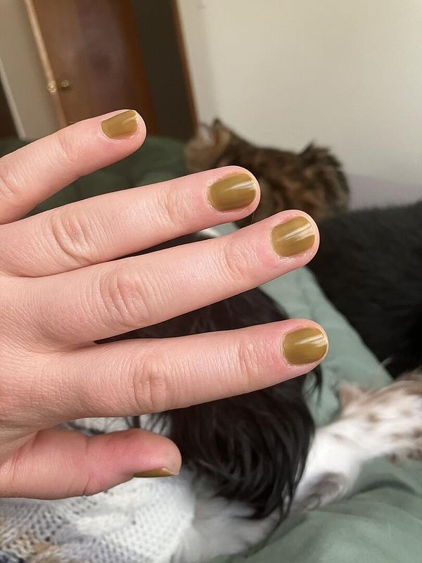 Crocodile Moss Green Jelly Nail Polish - Cirque Colors Olive Jelly