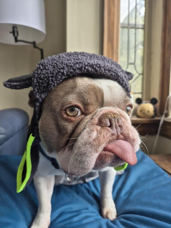 Cool Factor Aviator Hat – Canada Pooch