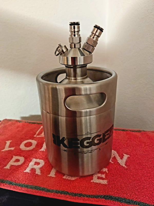 Rdeghly 2L Mini-fût en acier inoxydable avec robinet, système de  distributeur de bière artisanale pour brassage à domicile, mini-fût, baril  de bière en acier inoxydable