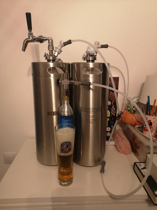 Set completo - Spillatore birra - Stream 50, dispenser birra, macchina per  birra 2-linee, 50 litri/h, sans, sans