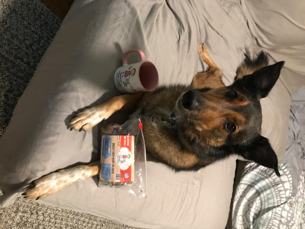 Gracie's Get Up And Go Coffee and Mugs – Gracie's Doggie Delights