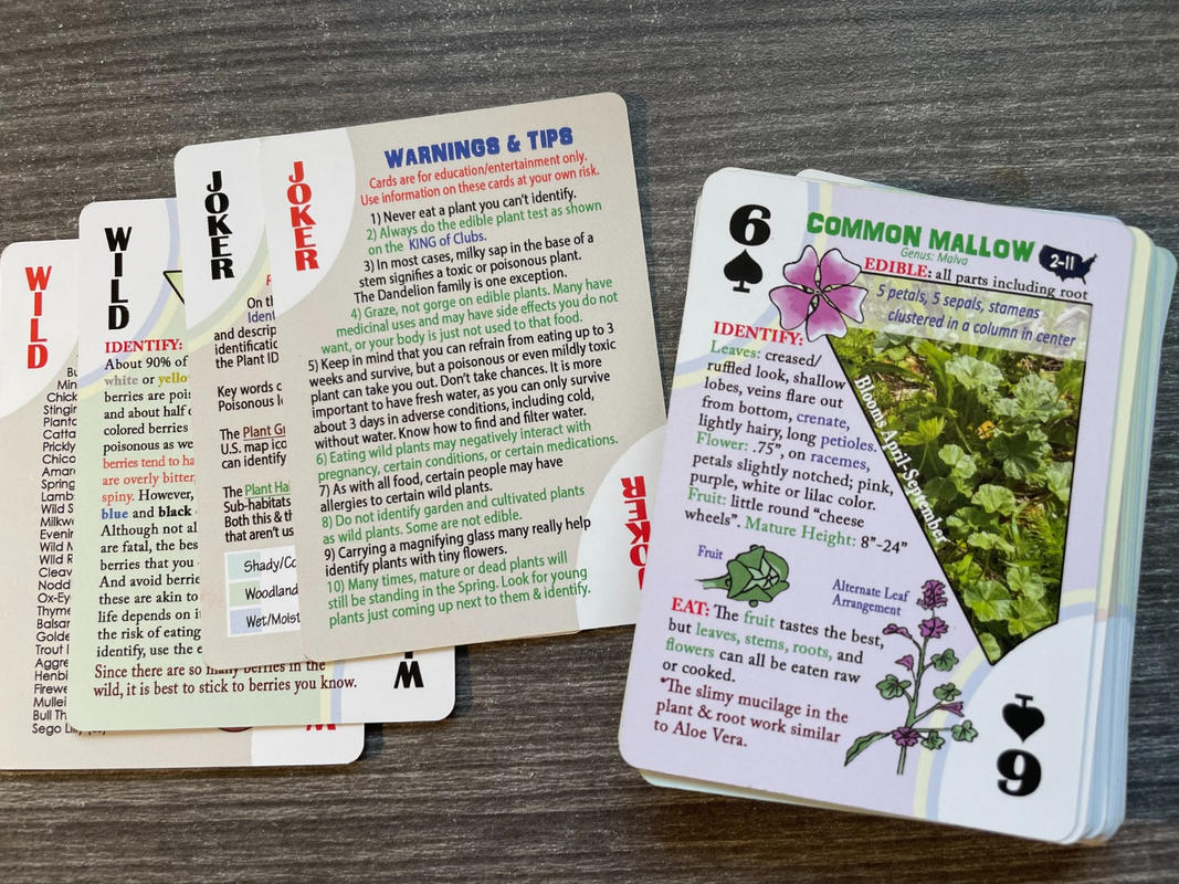 My Patriot Supply Edible Wild Plants Playing Cards by Ready Hour Review