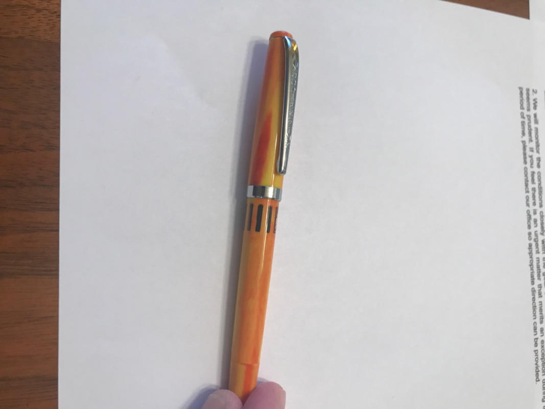 Noodler's Nib Creaper Flex Fountain Pen - Arizona - The Goulet Pen